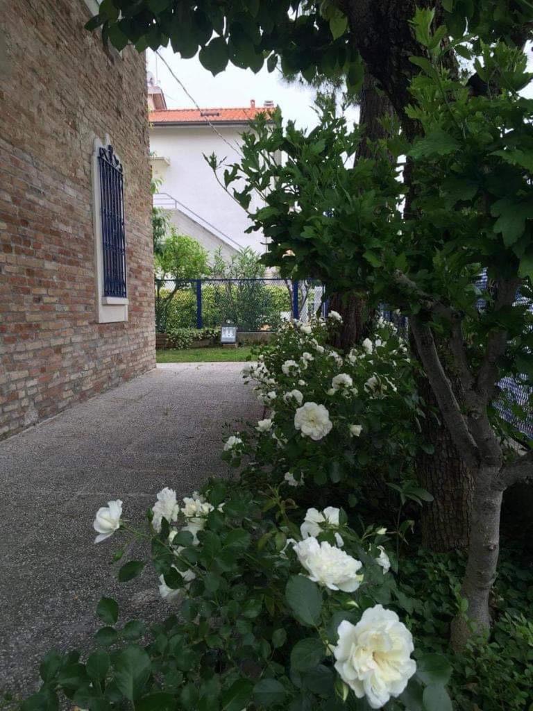 La Casa Della Cicogna Una Casa Al Mare Ideale Anche Per Gli Impegni Di Lavoro O Studio Villa Bellocchi Exterior foto